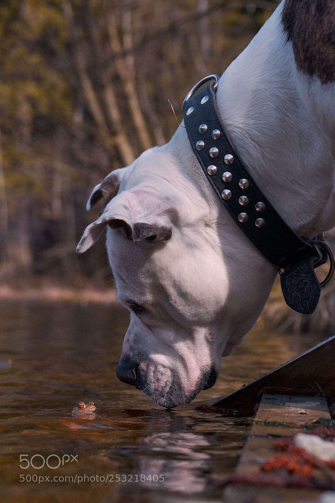 Nikon D7100 sample photo. Astrid & freddy photography