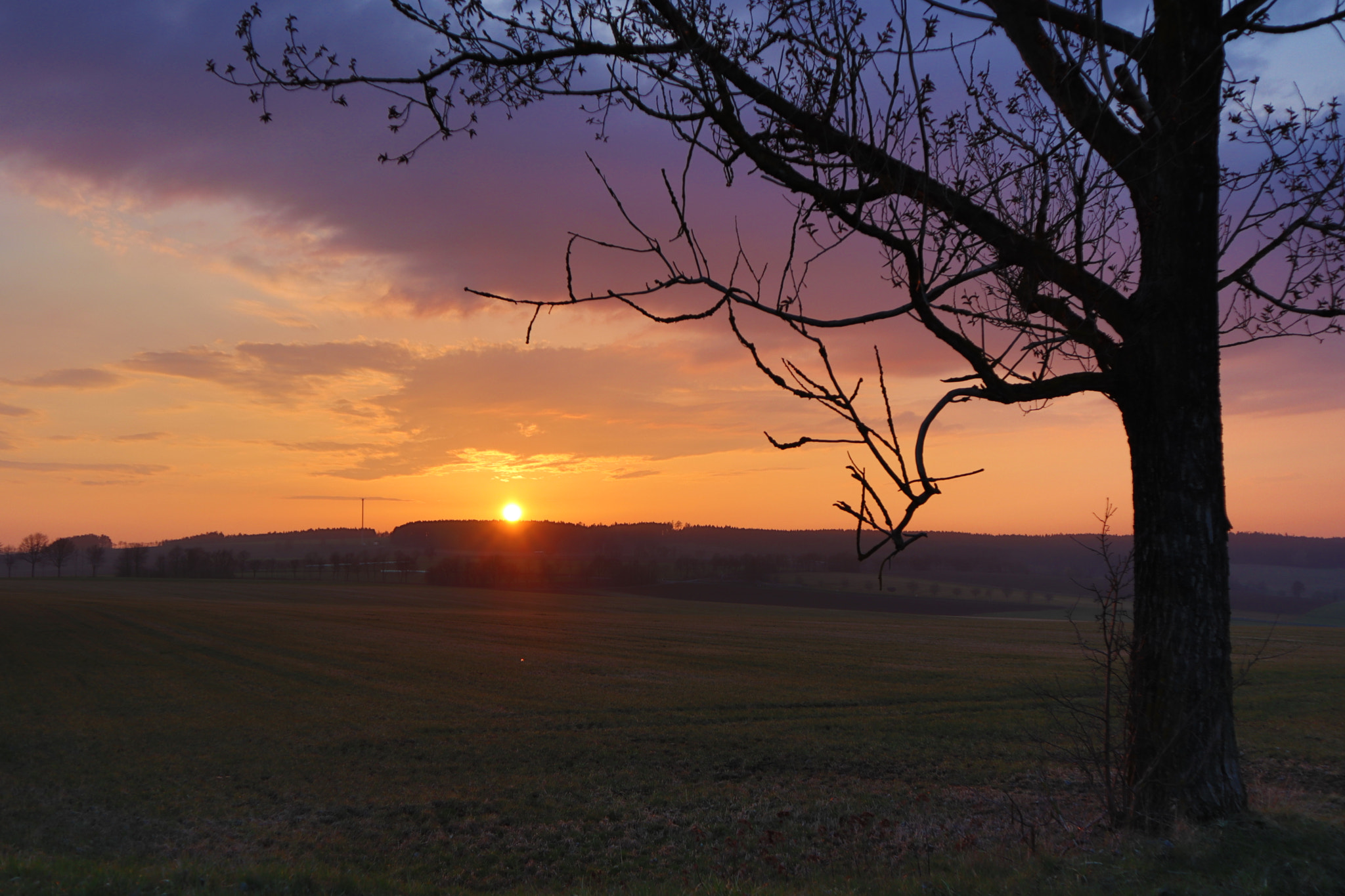 Canon EOS M50 (EOS Kiss M) sample photo. Sonnenuntergang  sunset photography