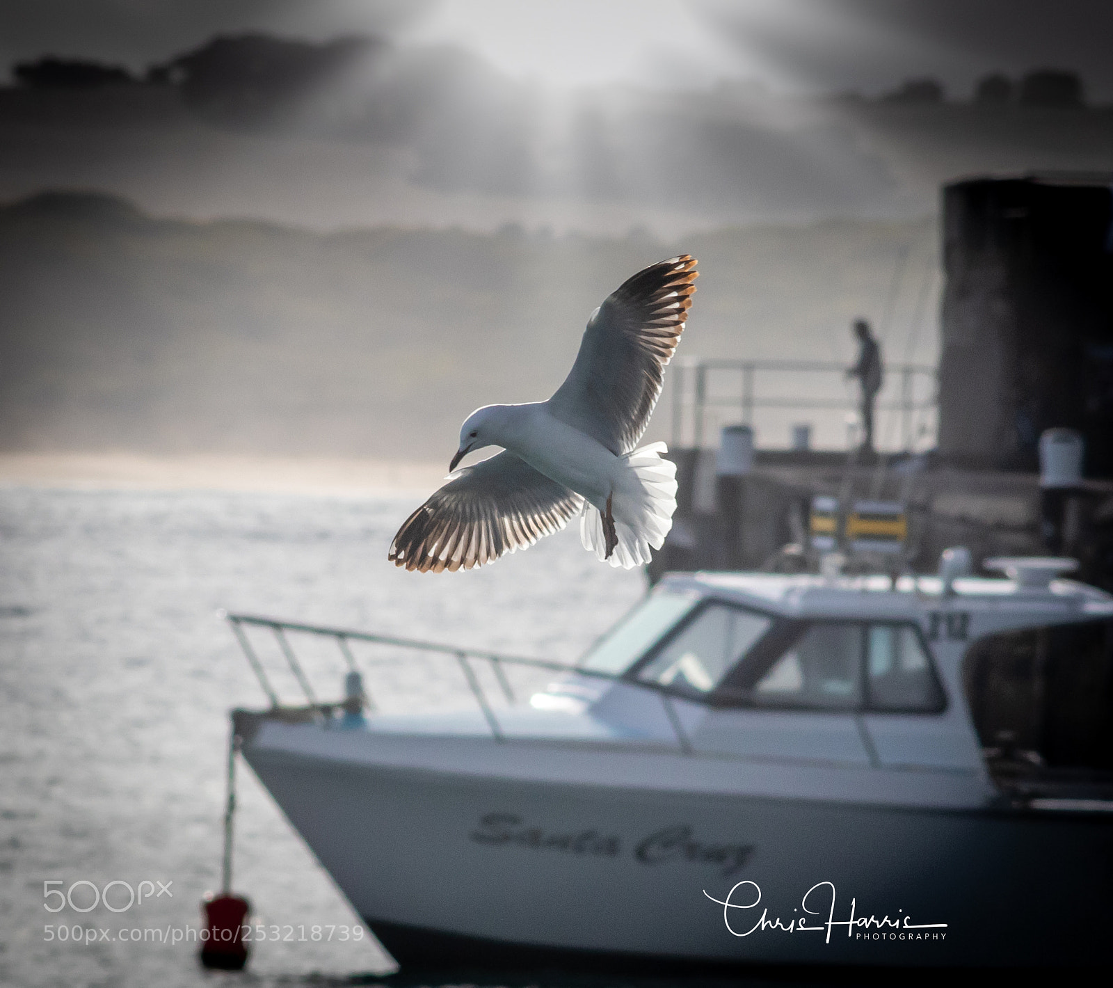 Canon EOS 80D sample photo. Warrnambool breakwater fishing photography