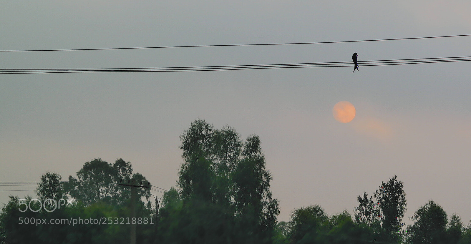 Samsung NX2000 sample photo. Morning ride pics 1 photography