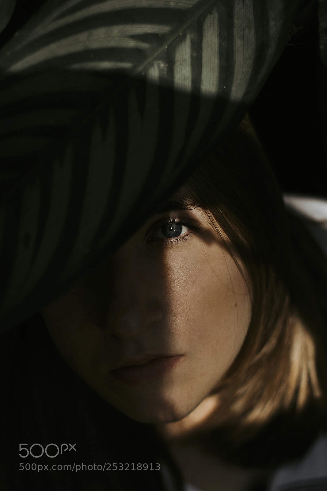 Canon EOS 1200D (EOS Rebel T5 / EOS Kiss X70 / EOS Hi) sample photo. Blue eyes photography