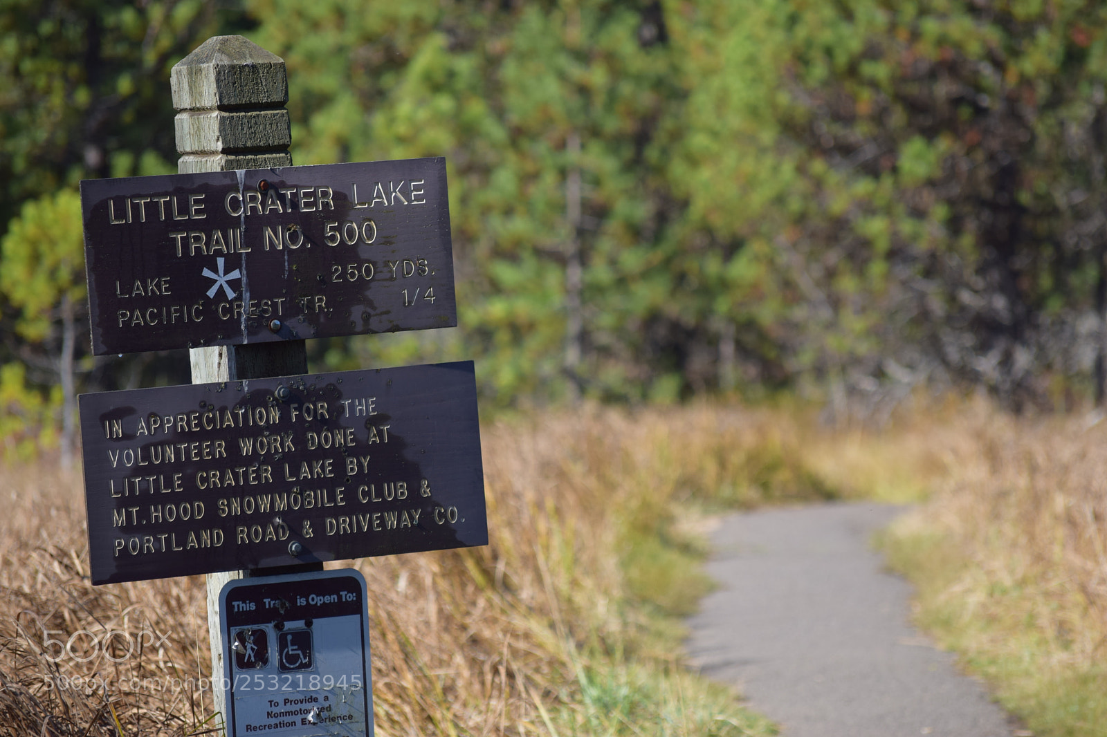 Nikon D3300 sample photo. Little crater lake trailhead photography