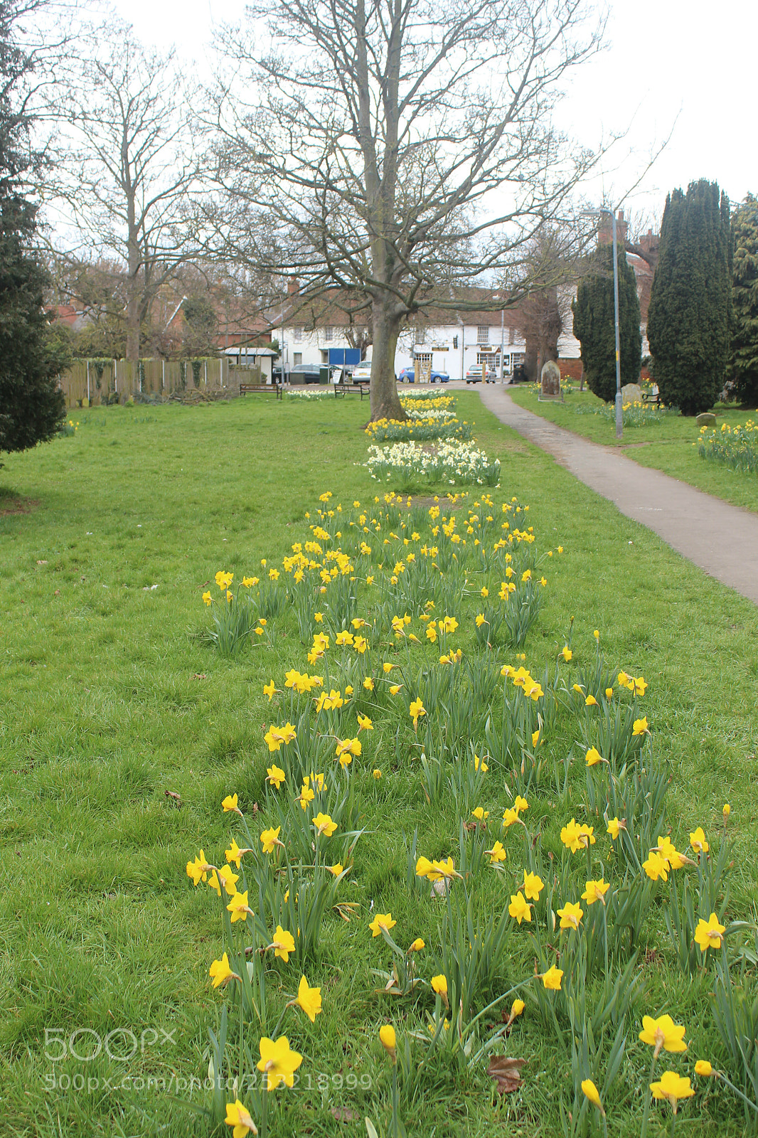 Canon EOS 600D (Rebel EOS T3i / EOS Kiss X5) sample photo. Spring has sprung photography