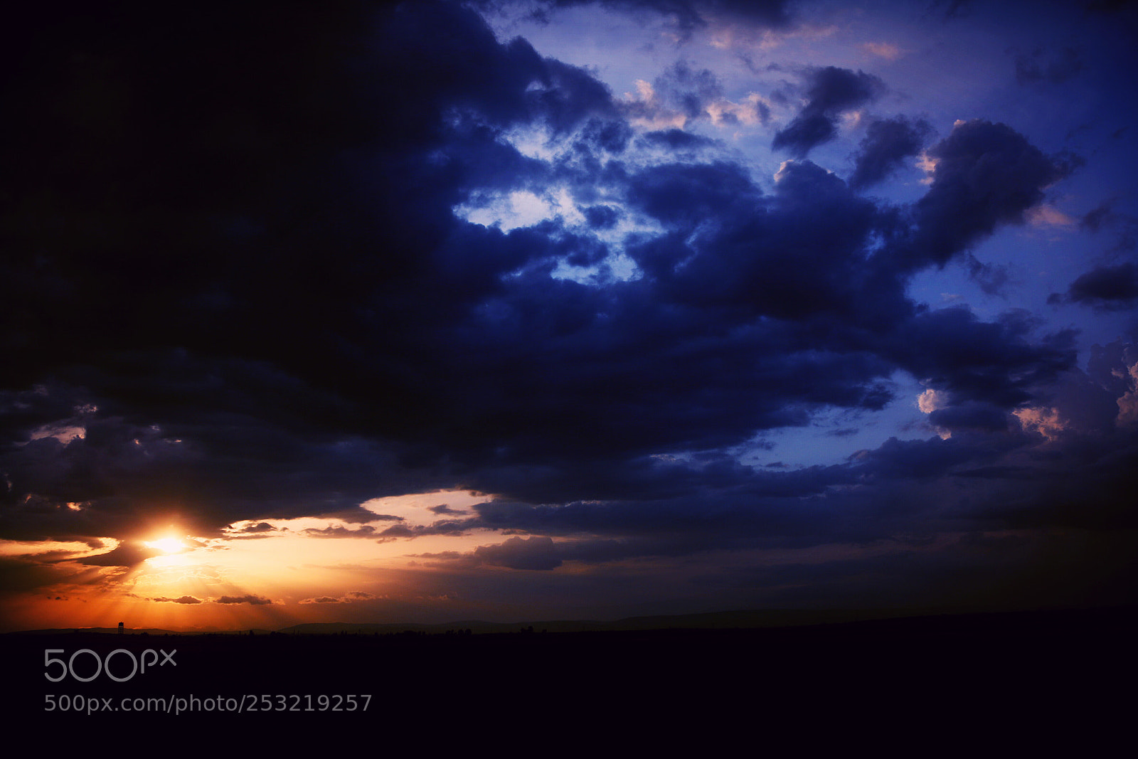 Canon EOS 70D sample photo. Untitled photography
