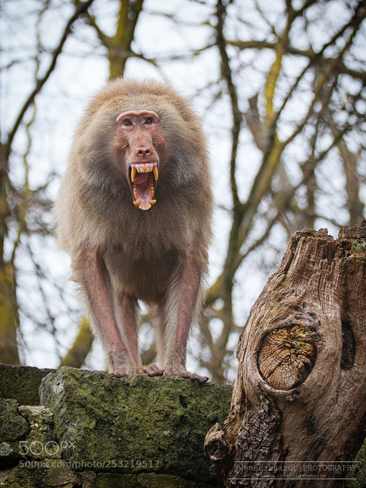 Canon EOS 5D Mark II sample photo. Krefelder zoo photography