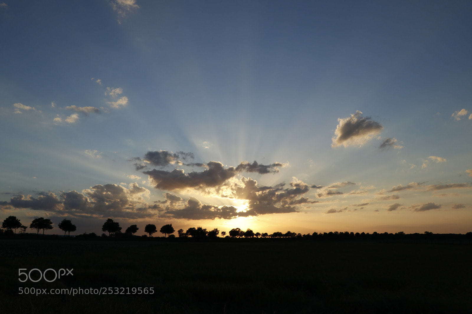 Canon EOS 80D sample photo. Sunset evening photography