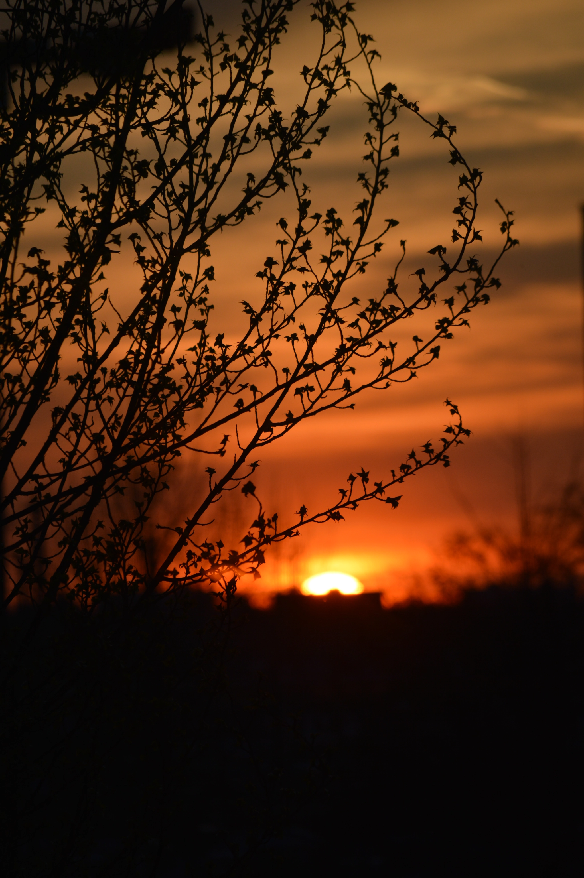 Nikon D3200 sample photo. Sunset photography