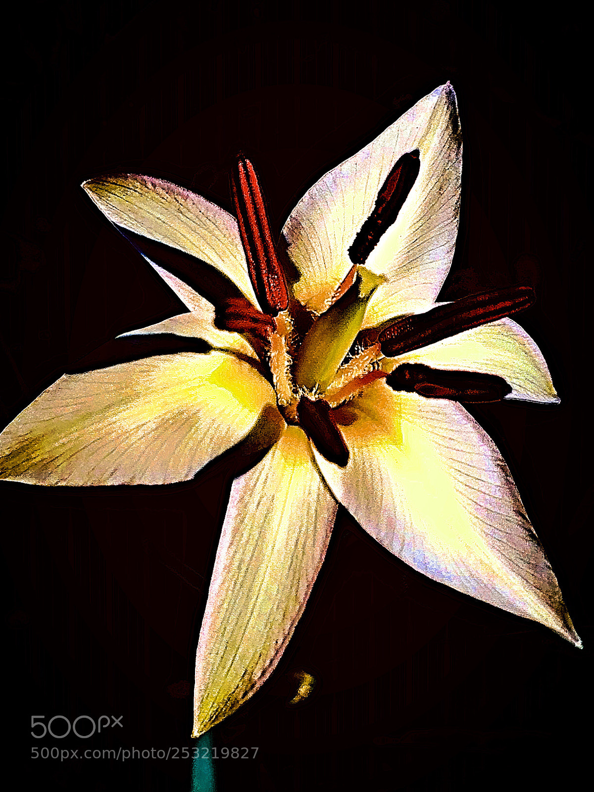 Apple iPhone 5s sample photo. Spring greetings  photography