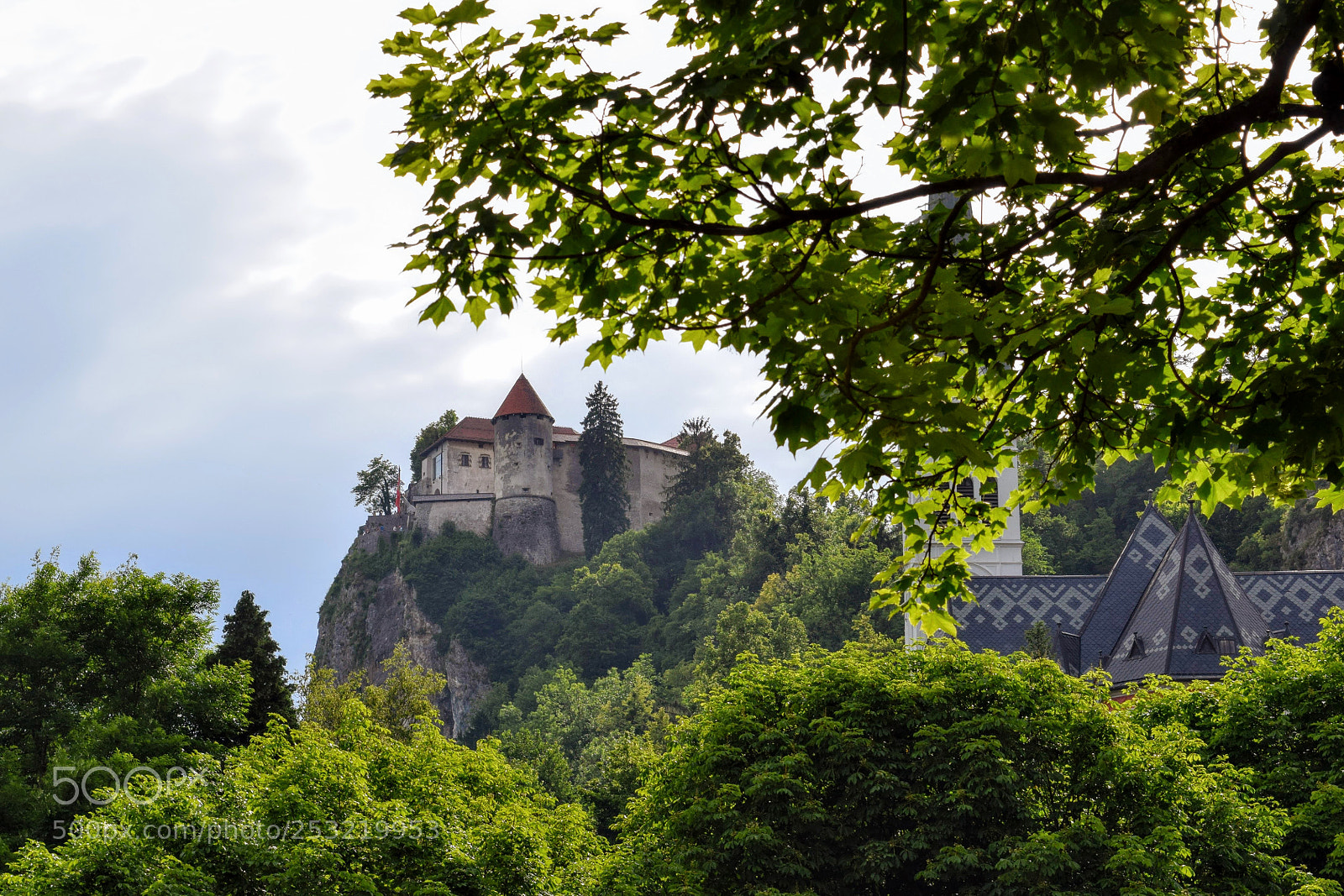 Nikon D3300 sample photo. Bled castle photography