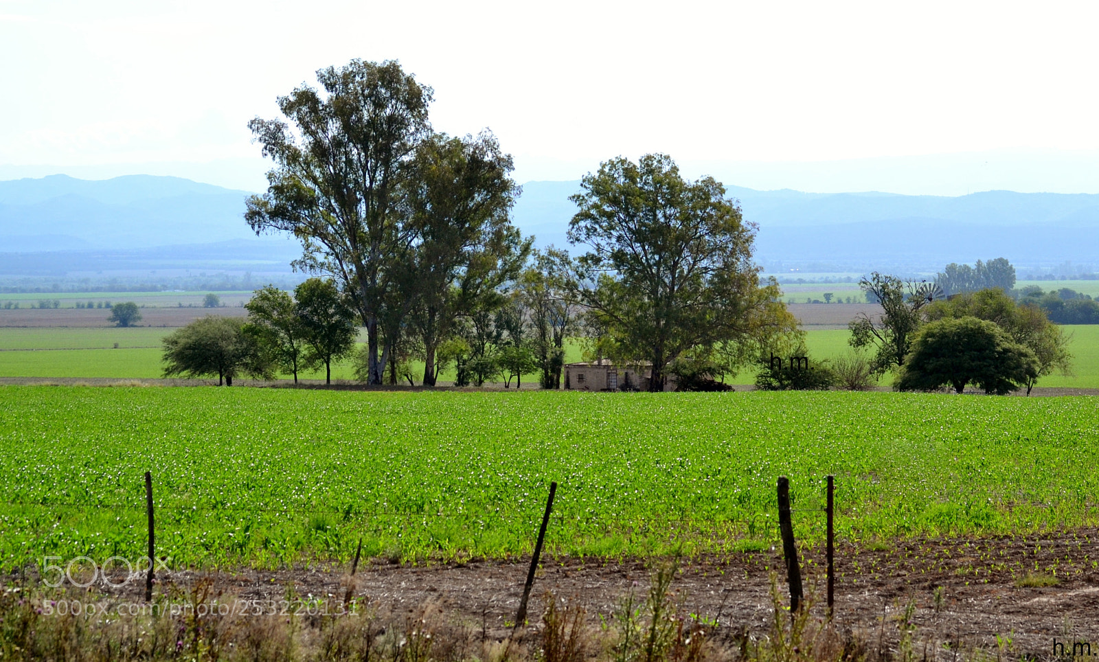 Nikon D3100 sample photo. Ddeco photography