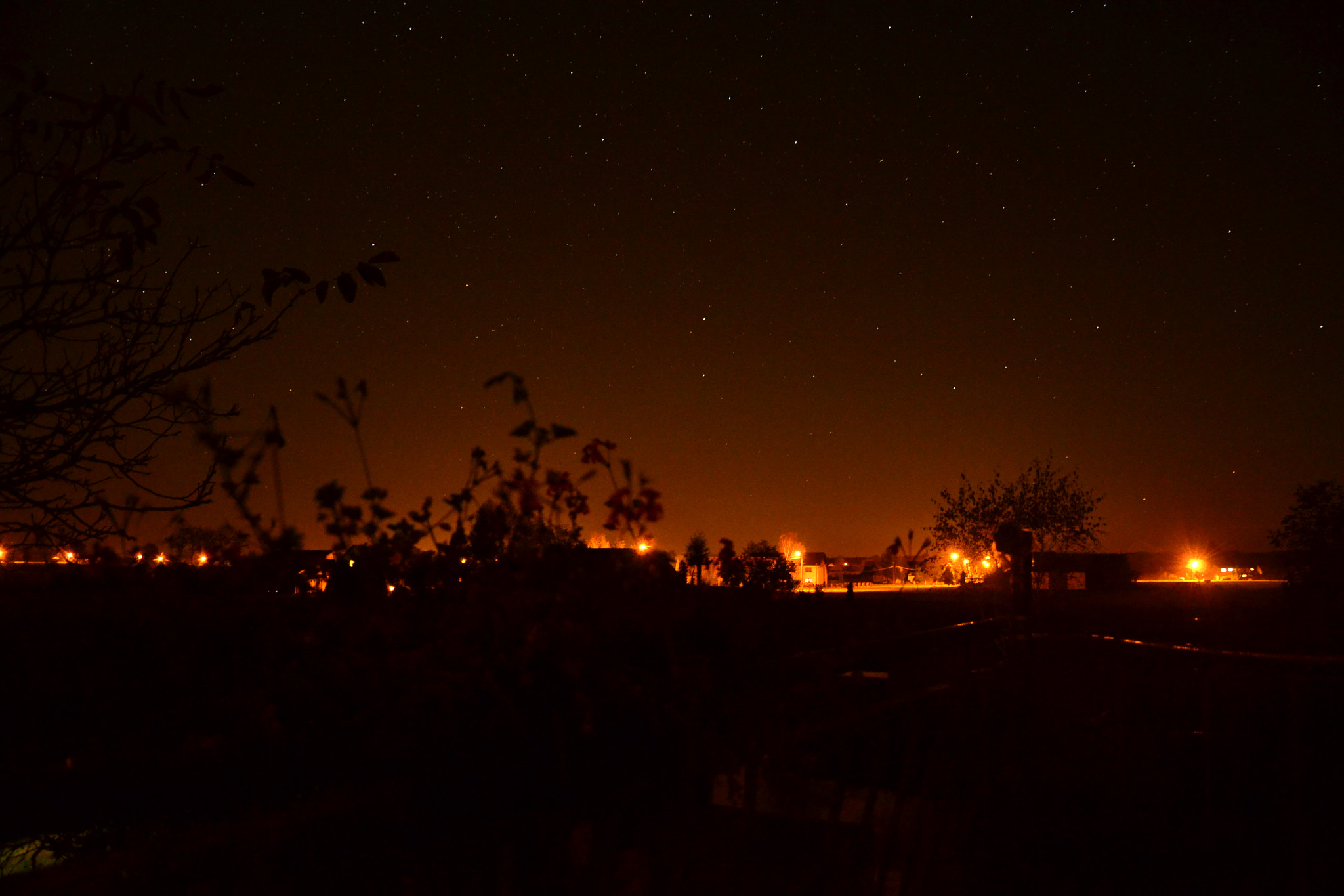 Nikon D3100 sample photo. Night of light photography