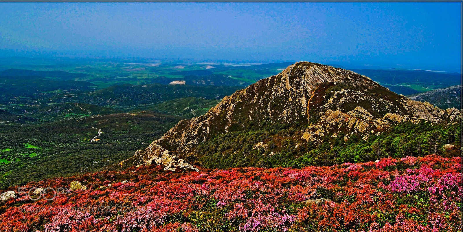 Nikon D3000 sample photo. Primavera photography