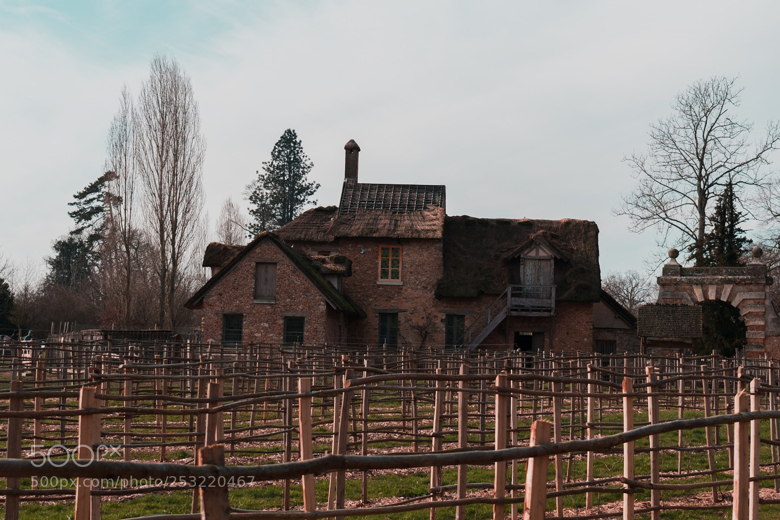 Nikon D3400 sample photo. Vineyard photography