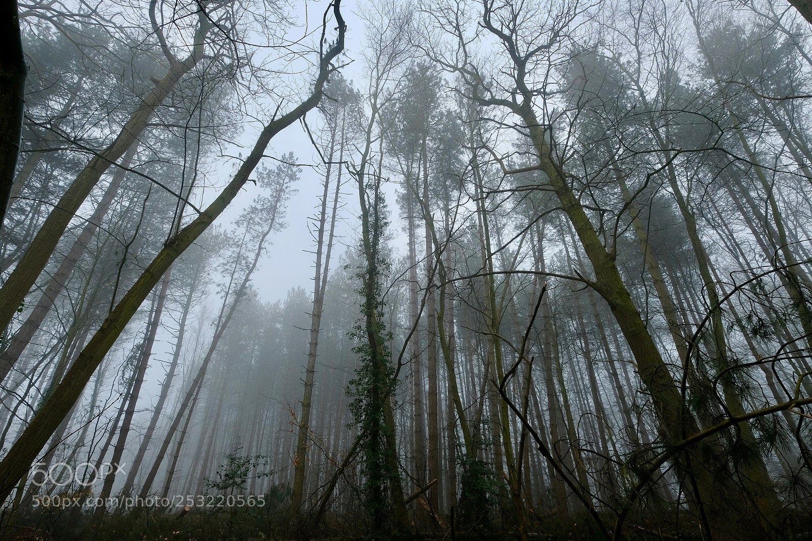 Fujifilm X-T2 sample photo. Gloomy photography