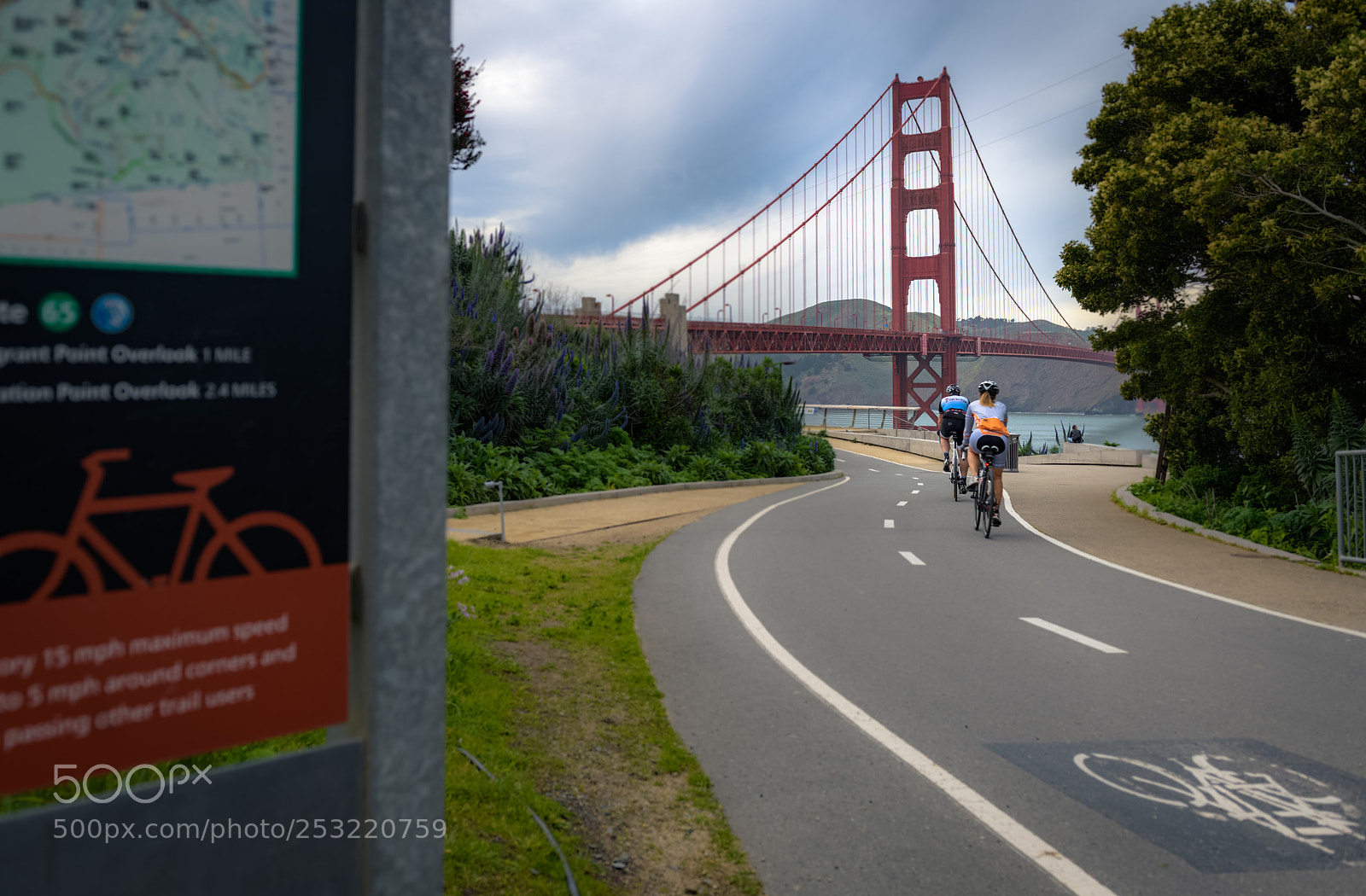 Nikon D850 sample photo. Bay trail photography