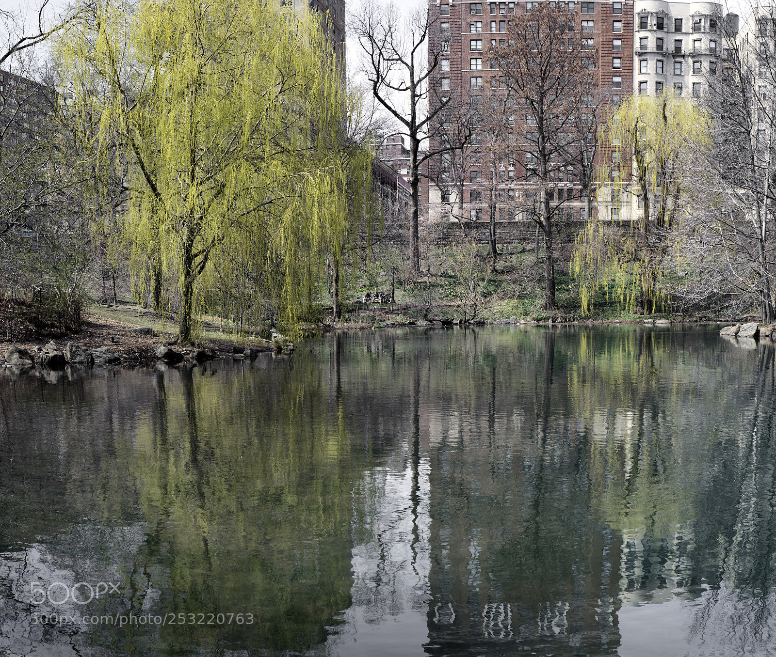 Sony a7R II sample photo. Early spring - central photography