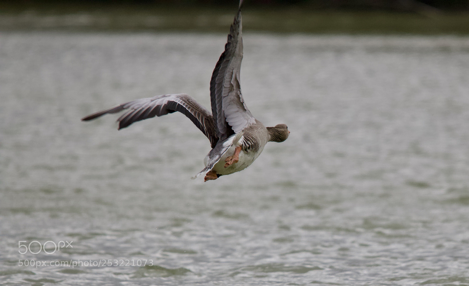 Canon EOS 70D sample photo. Untitled photography