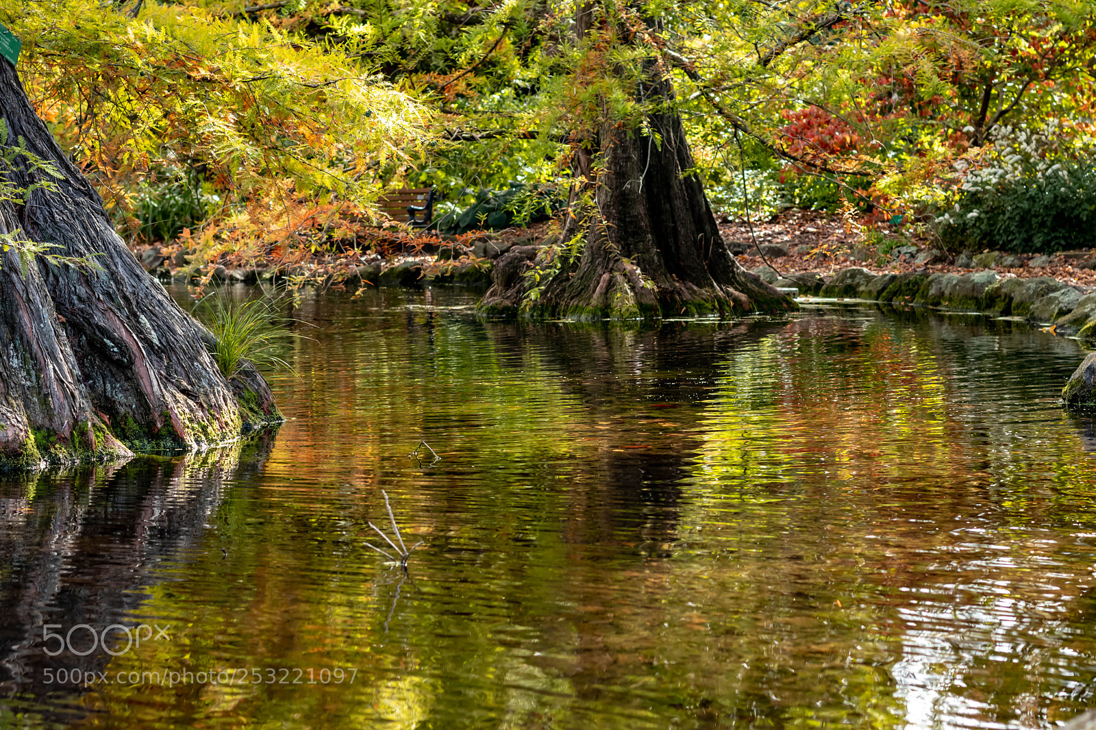 Canon EOS 80D sample photo. Autumn in christchurch photography