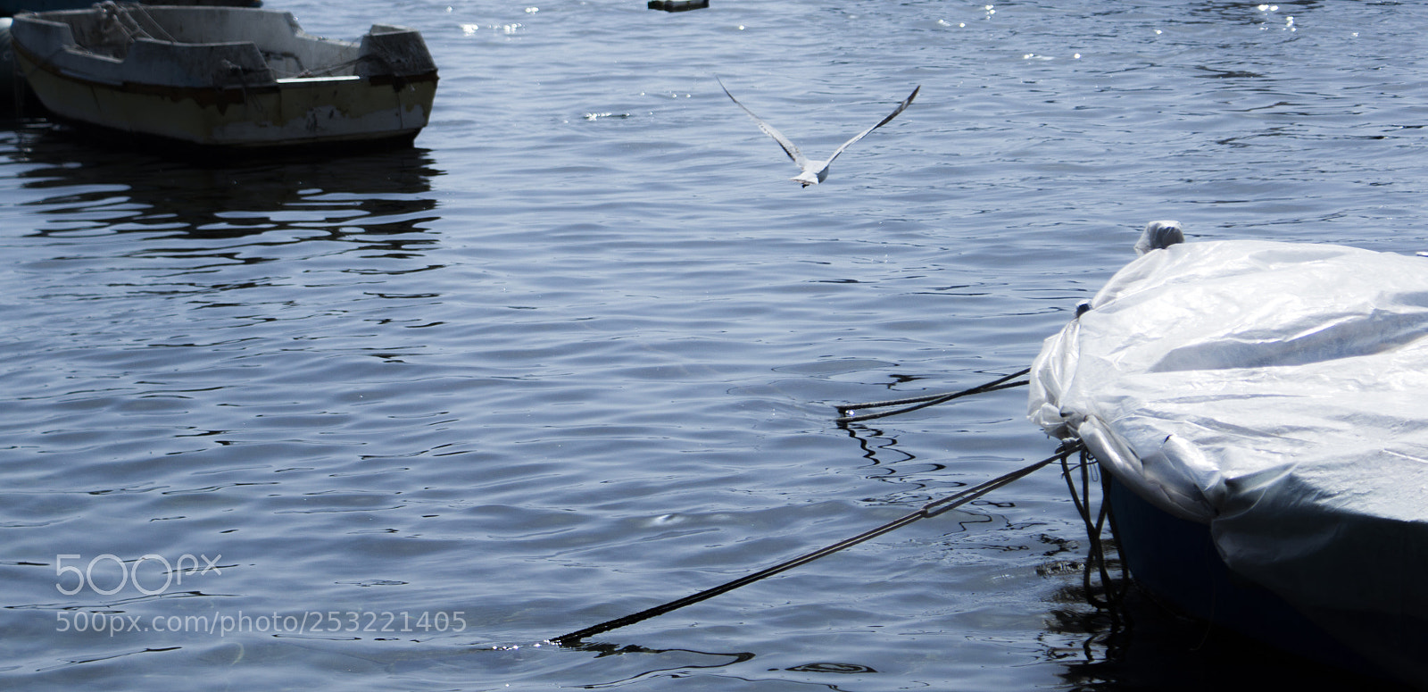 Sony SLT-A77 sample photo. 11.jpg photography