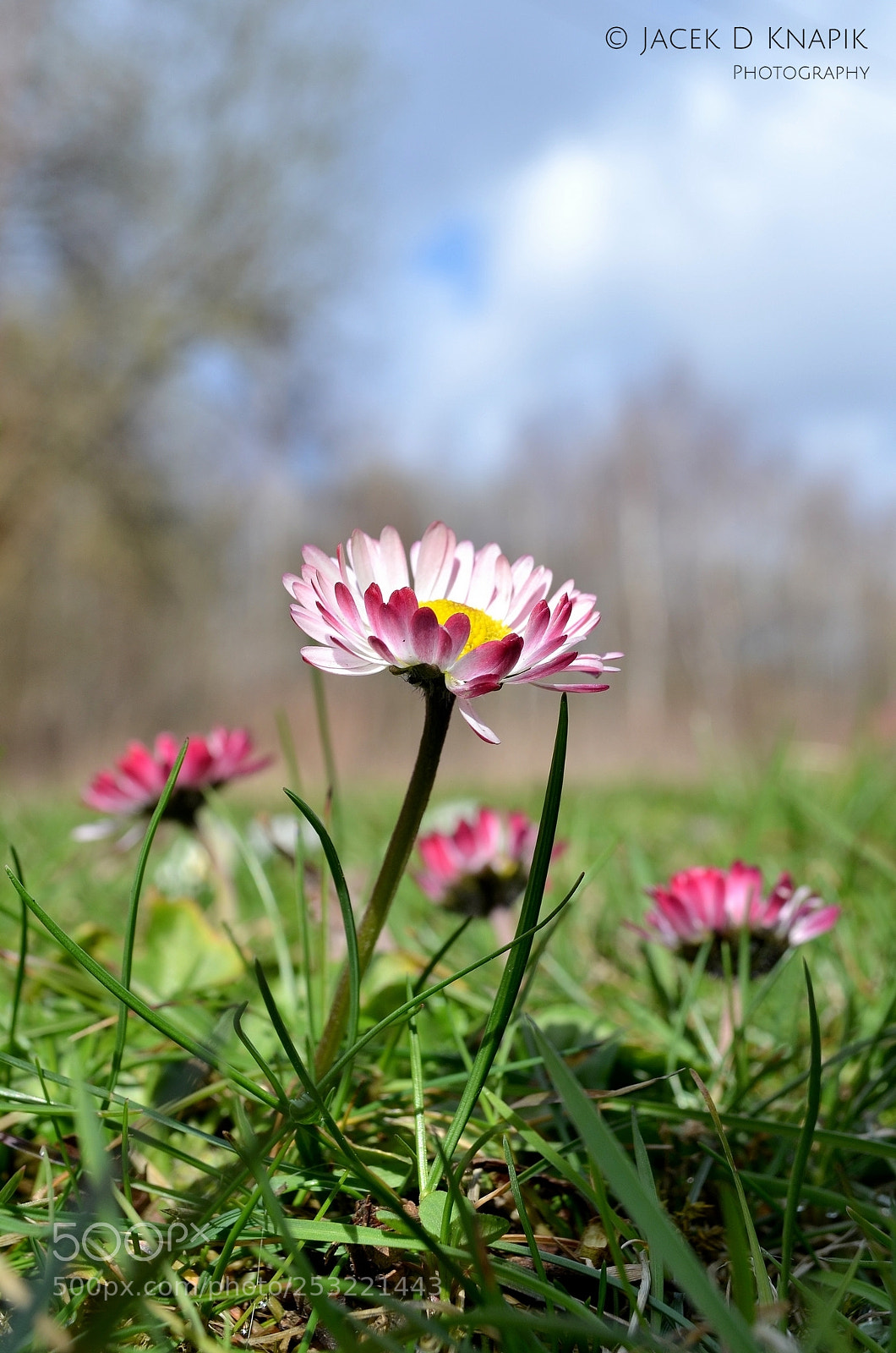 Nikon D5100 sample photo. G photography