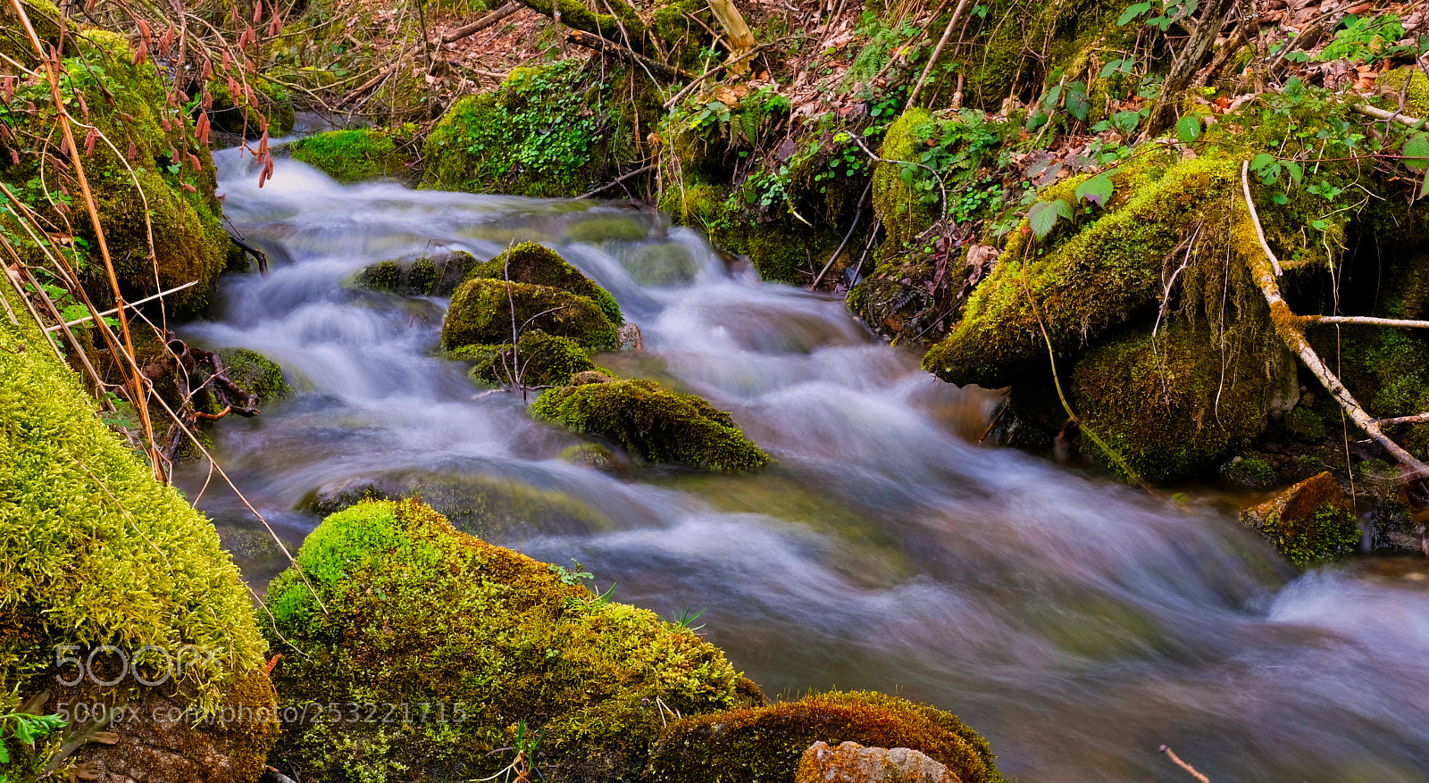 Fujifilm X-Pro2 sample photo. Small stream photography