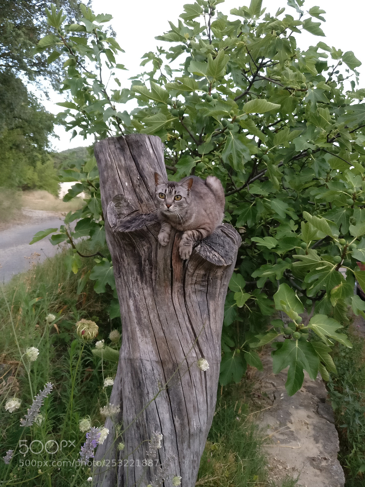 OnePlus A3003 sample photo. Img_20170729_210445.jpg photography
