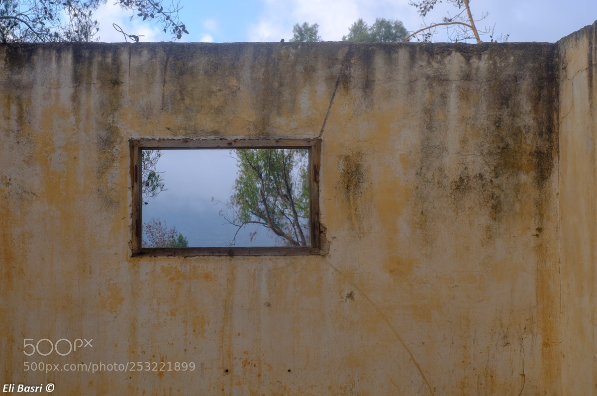 Fujifilm X-T1 sample photo. Through the window photography
