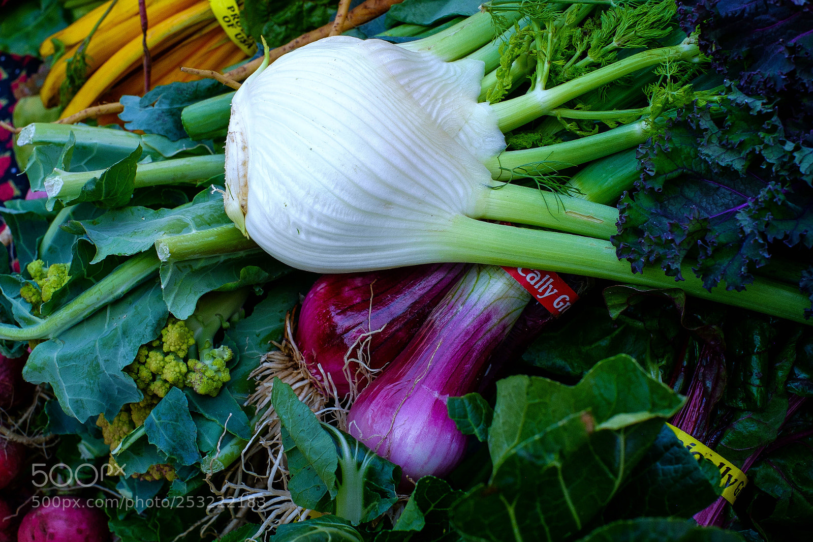 Fujifilm X-Pro1 sample photo. Anise and onion photography