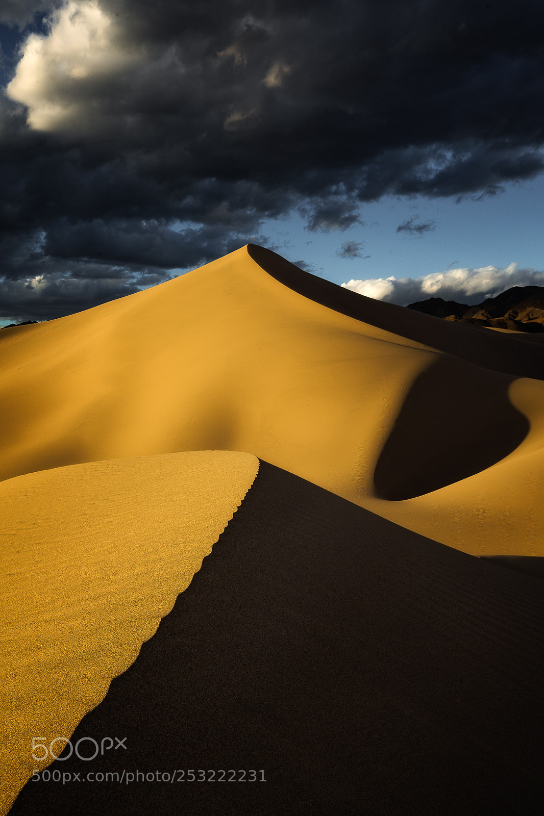 Canon EOS 5D Mark IV sample photo. More dunes photography