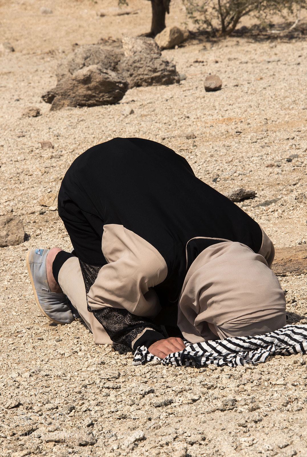 Nikon D800E sample photo. Praying in the desert photography