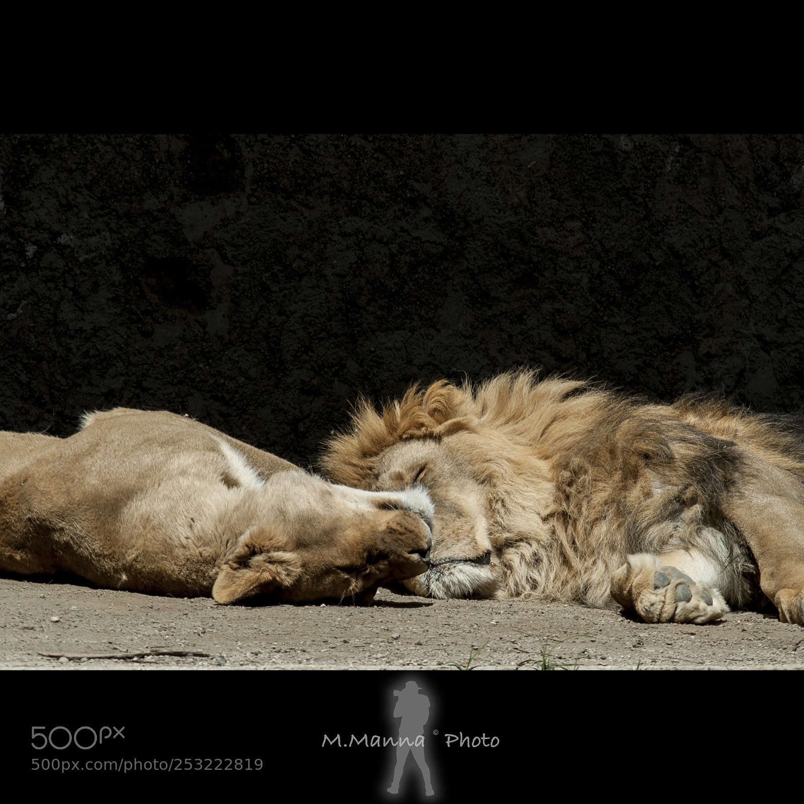 Nikon D200 sample photo. Sleeping photography
