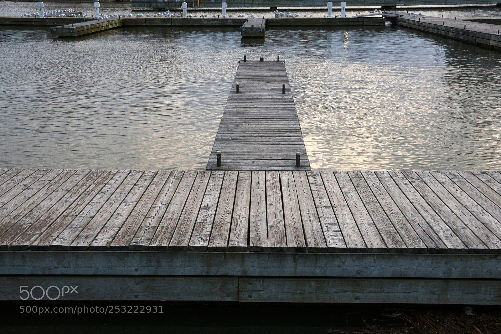 Sony a7R II sample photo. Empty marina dock photography