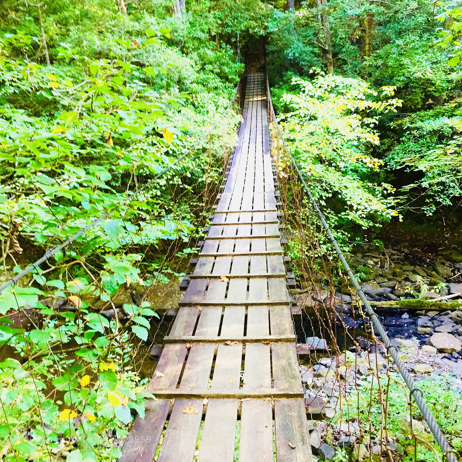 Apple iPhone 6 sample photo. Bridge to nowhere  photography