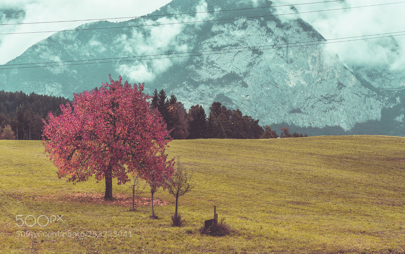 Nikon D610 sample photo. Innsbruck iii photography