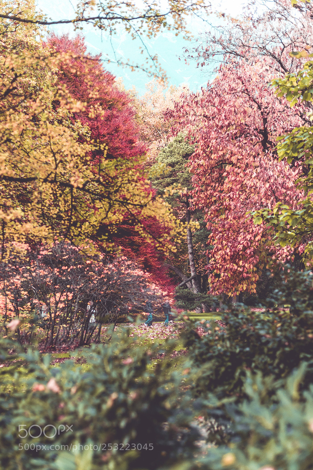 Nikon D610 sample photo. Innsbruck i photography