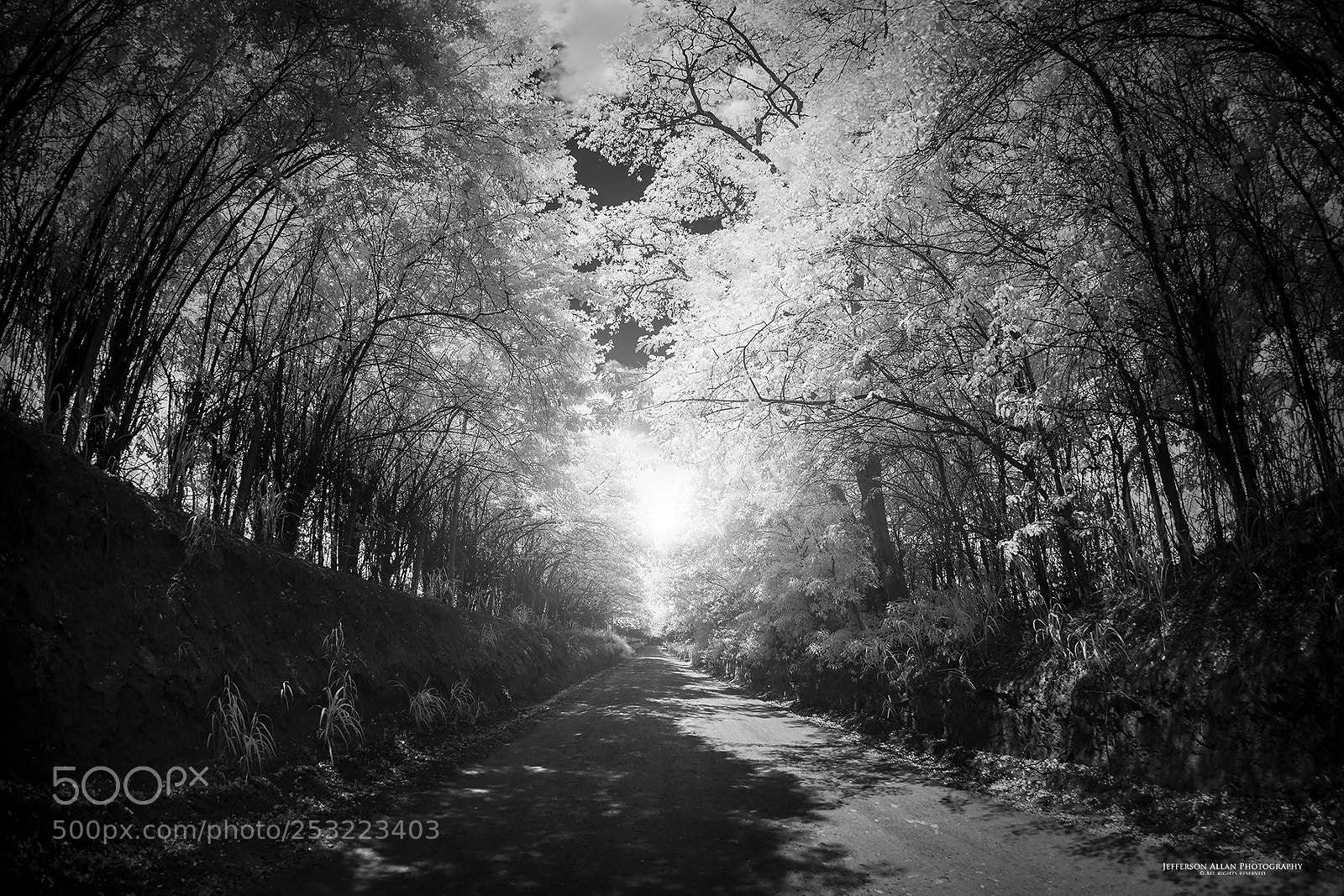 Canon EOS 5D Mark IV sample photo. Caminhos photography
