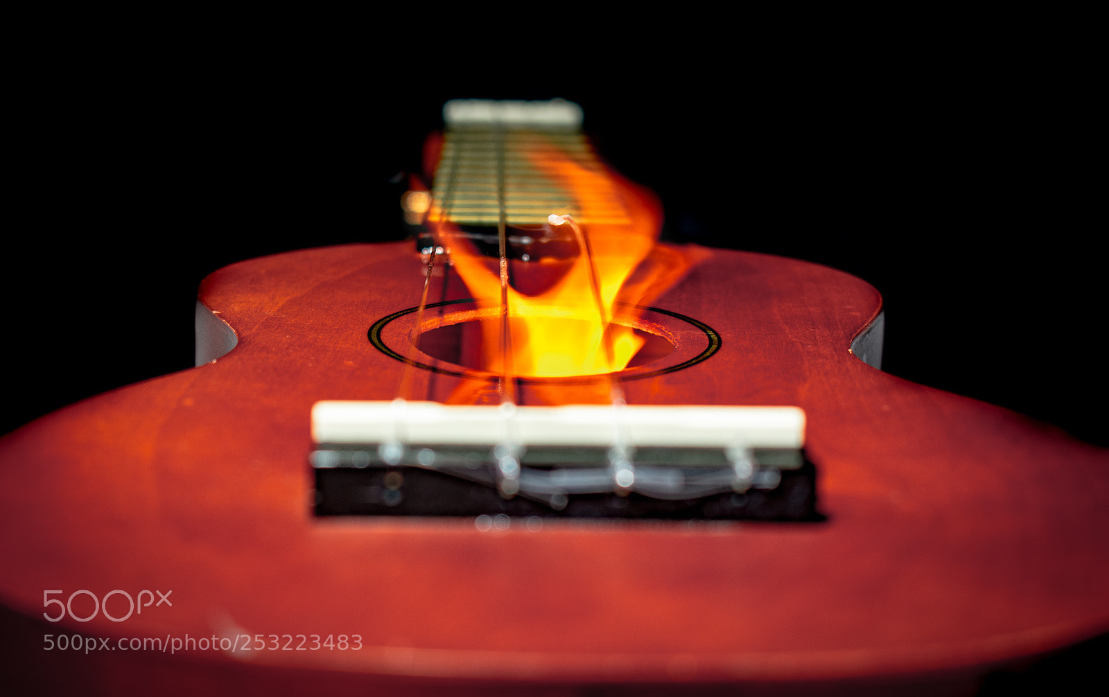 Nikon D3400 sample photo. Strings to my guitar photography