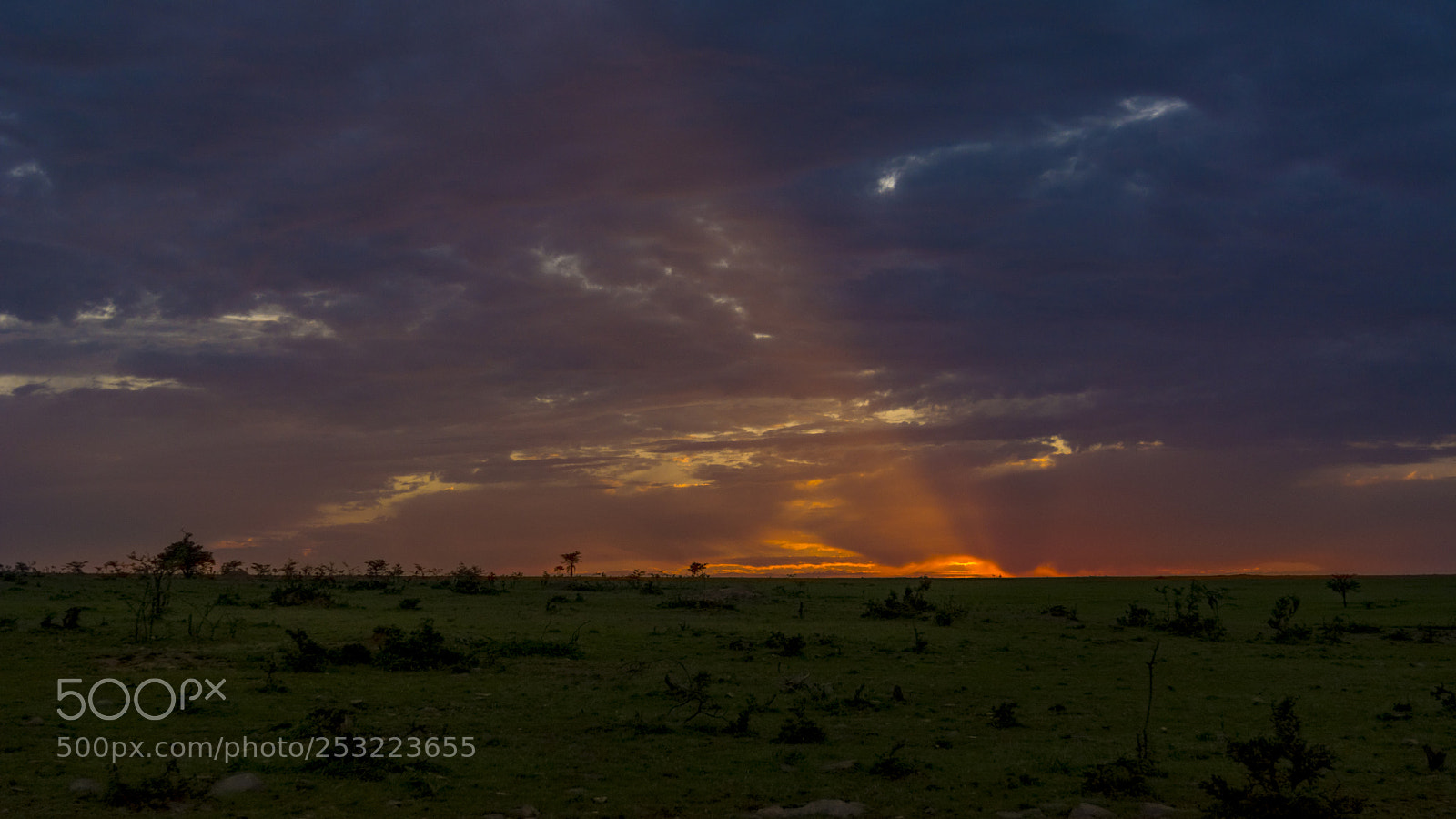 Nikon D5200 sample photo. Sunrise @ masai mara....... photography