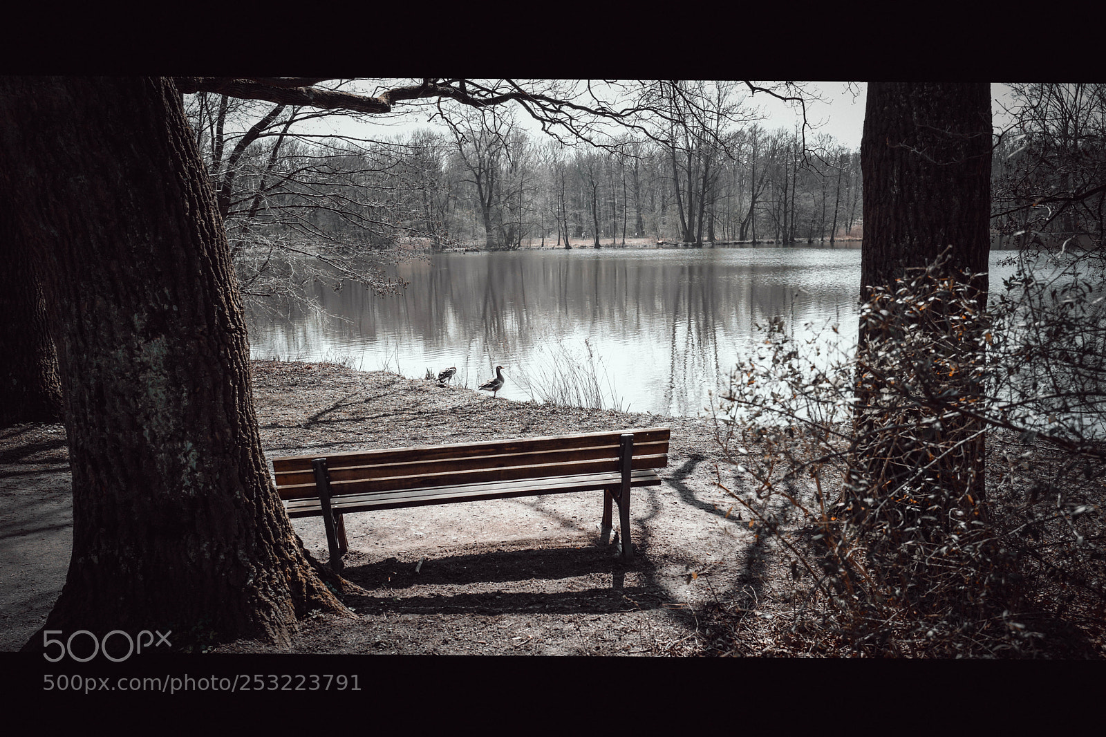 Leica Q (Typ 116) sample photo. Hannover i photography