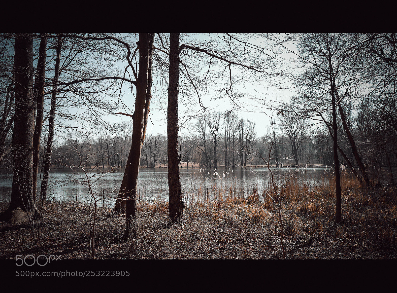 Leica Q (Typ 116) sample photo. Hannover i photography