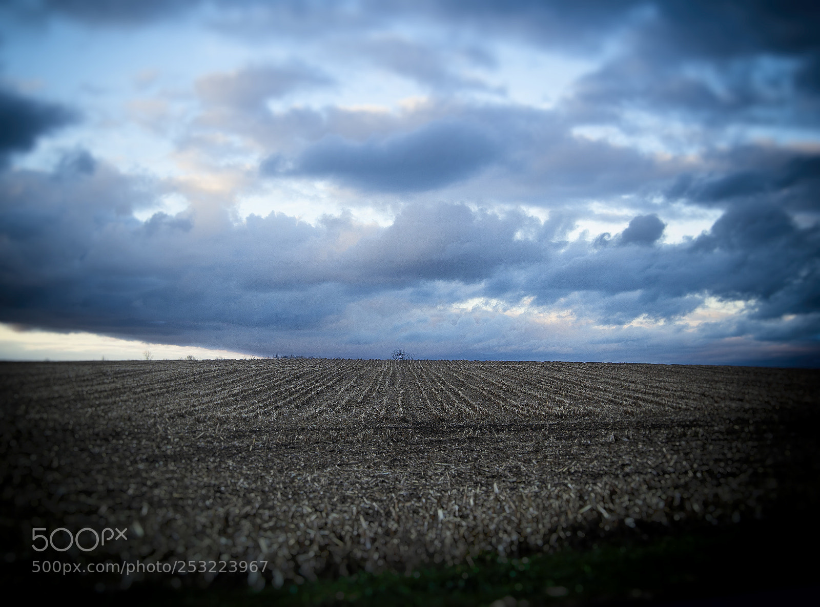 Nikon D40 sample photo. Bleak and blue photography