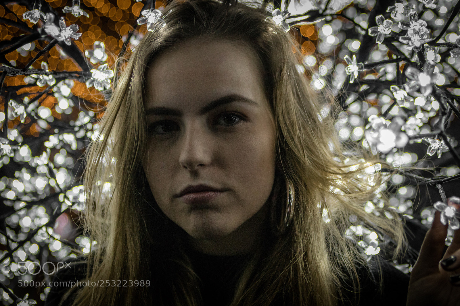 Canon EOS 80D sample photo. Untitled photography