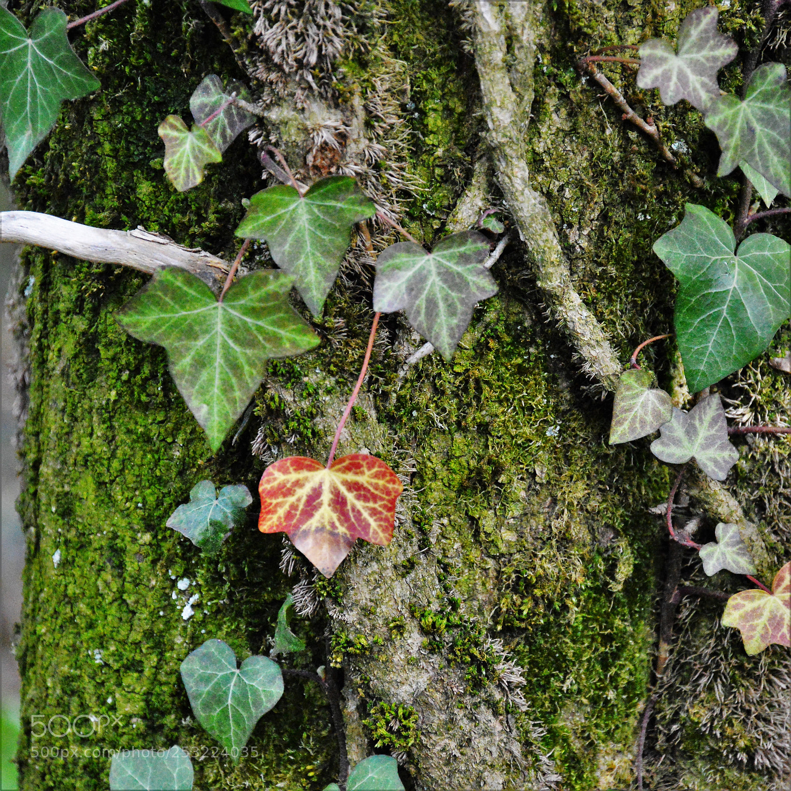 Nikon D3200 sample photo. Untitled photography