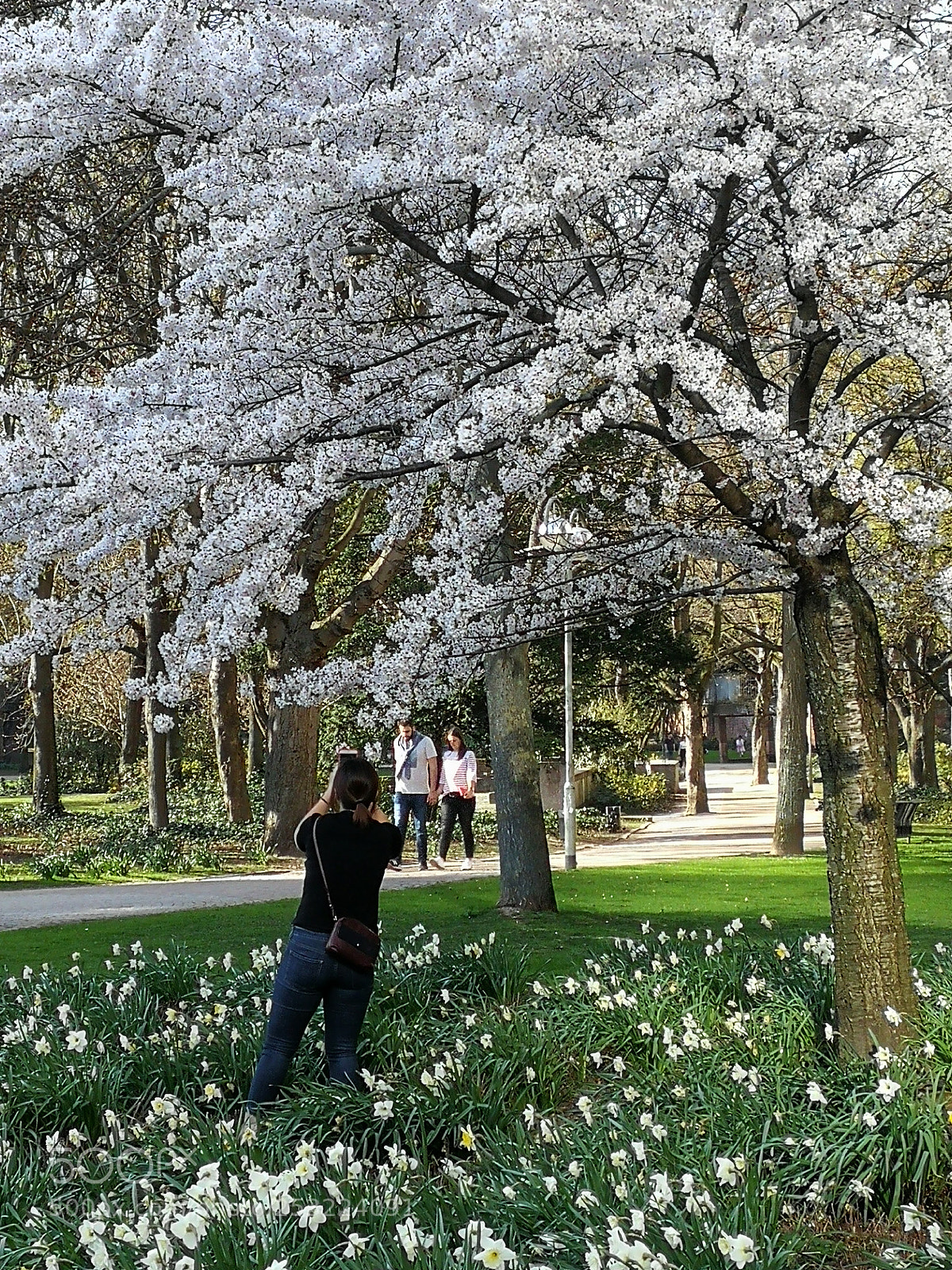 HUAWEI Mate 9 sample photo. Spring photography