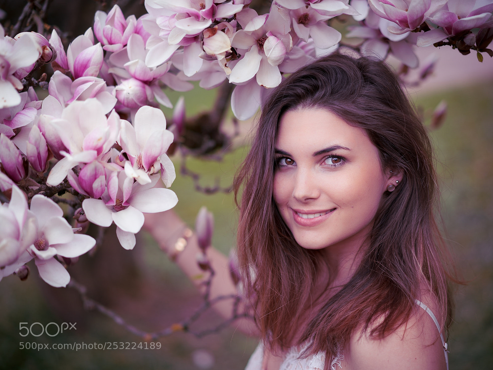 Sony a7 III sample photo. Magnolia photography