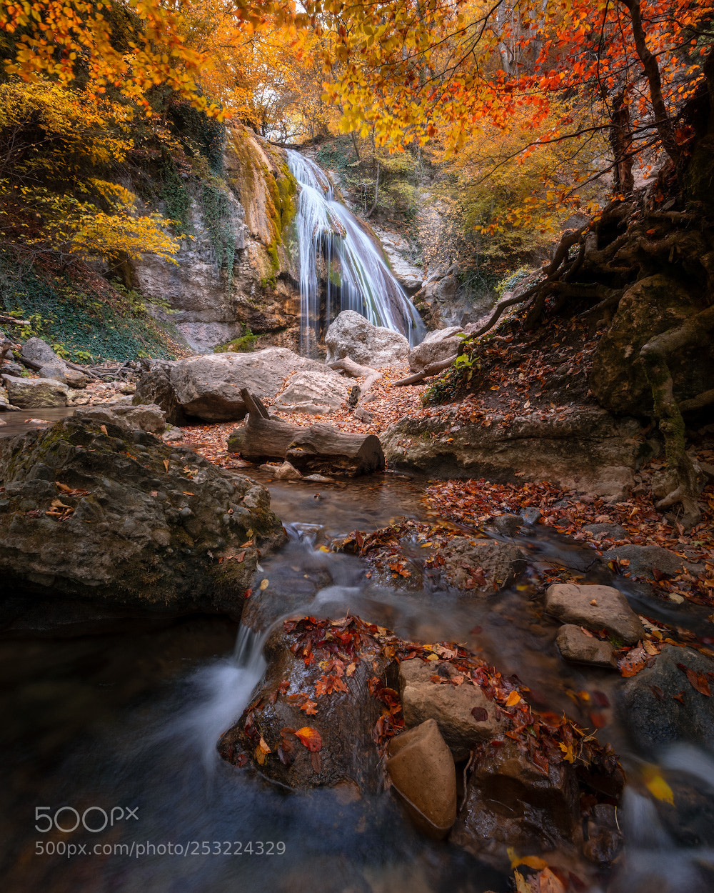 Nikon D800 sample photo. Autumn jur-jour photography