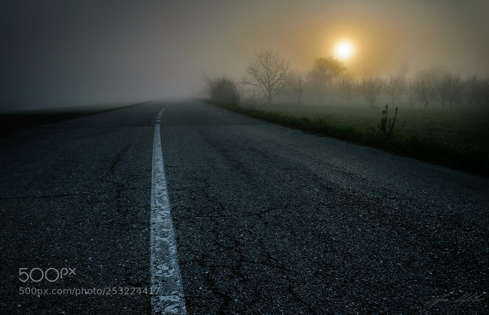 Nikon D5300 sample photo. Misty road (of ) photography
