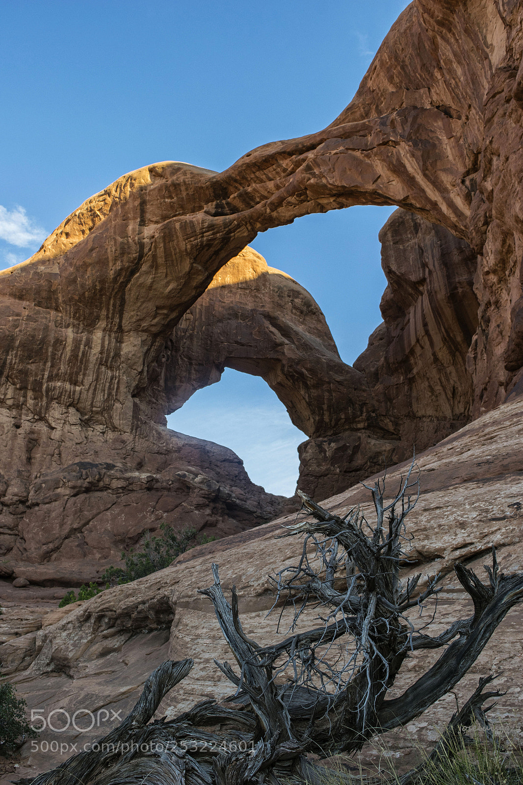 Nikon D3300 sample photo. Double arch photography