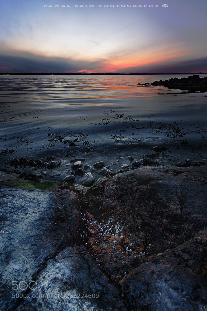 Nikon D5500 sample photo. Sunset photography