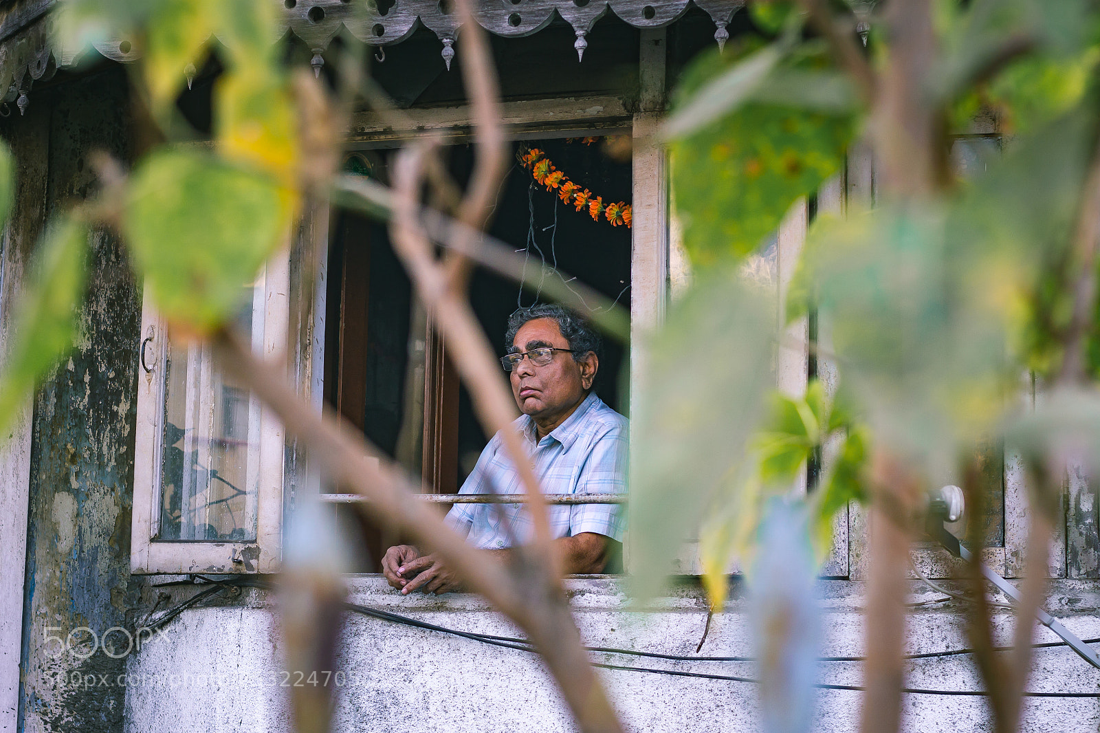 Canon EOS 1100D (EOS Rebel T3 / EOS Kiss X50) sample photo. Bombay's pensive windows. photography